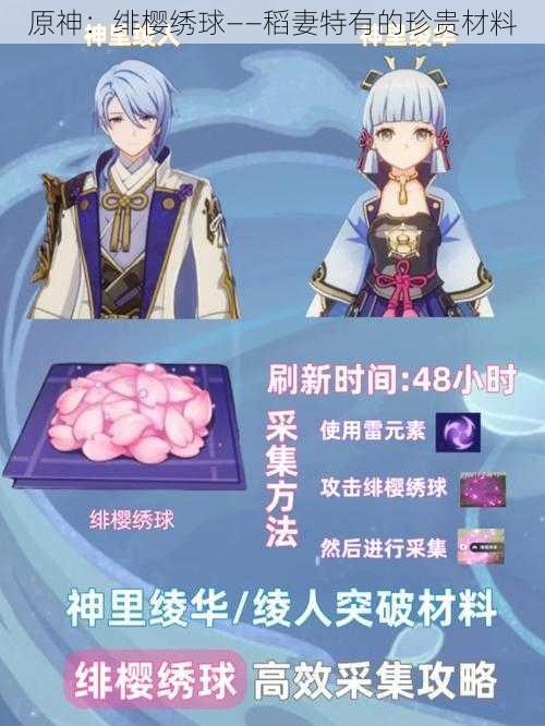 原神：绯樱绣球——稻妻特有的珍贵材料