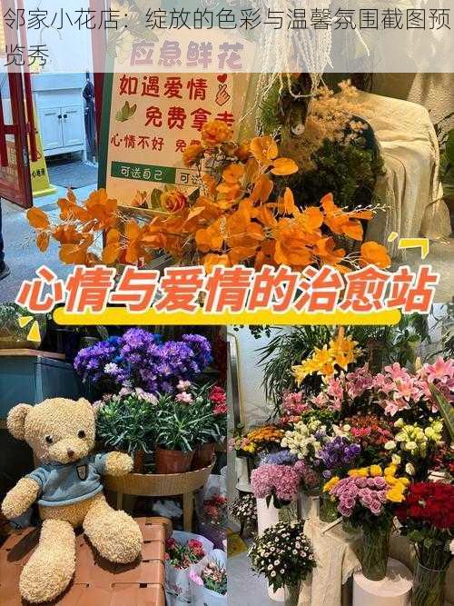 邻家小花店：绽放的色彩与温馨氛围截图预览秀