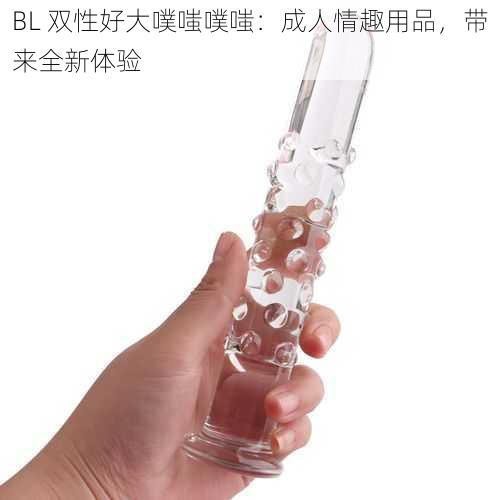 BL 双性好大噗嗤噗嗤：成人情趣用品，带来全新体验