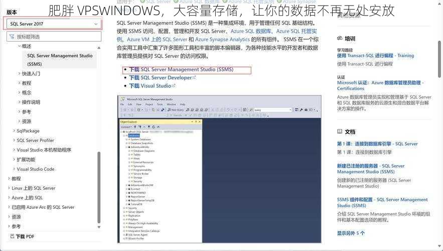 肥胖 VPSWINDOWS，大容量存储，让你的数据不再无处安放