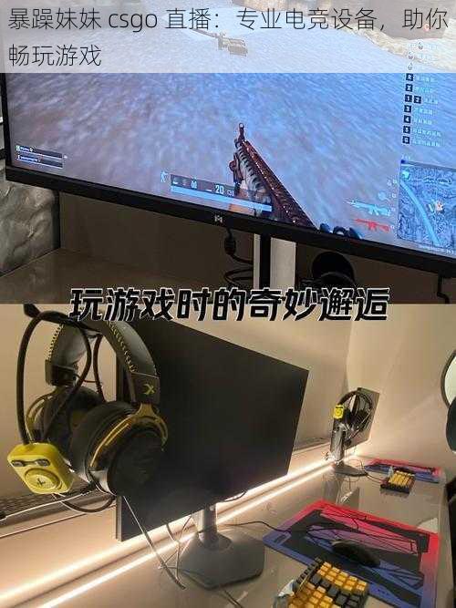 暴躁妹妹 csgo 直播：专业电竞设备，助你畅玩游戏