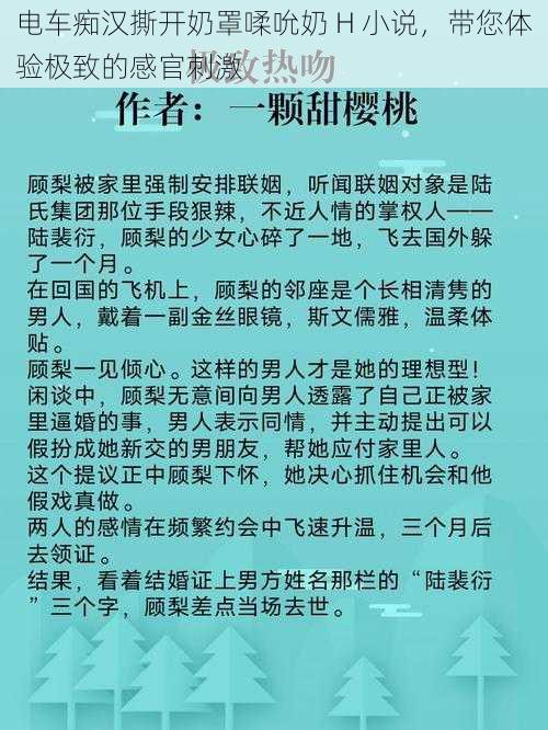 电车痴汉撕开奶罩㖻吮奶 H 小说，带您体验极致的感官刺激