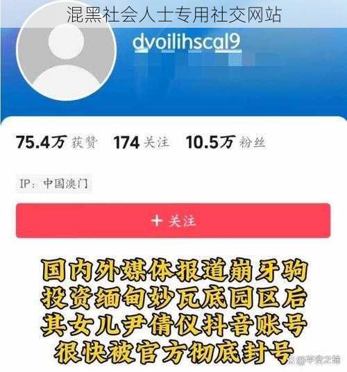 混黑社会人士专用社交网站