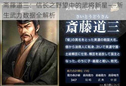 斋藤道三：信长之野望中的武将新星——新生武力数据全解析