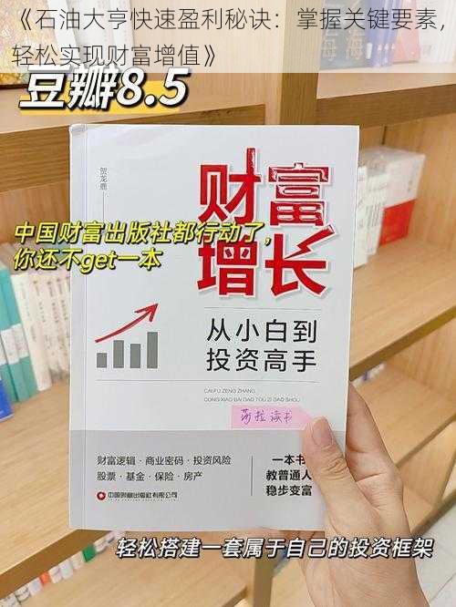 《石油大亨快速盈利秘诀：掌握关键要素，轻松实现财富增值》