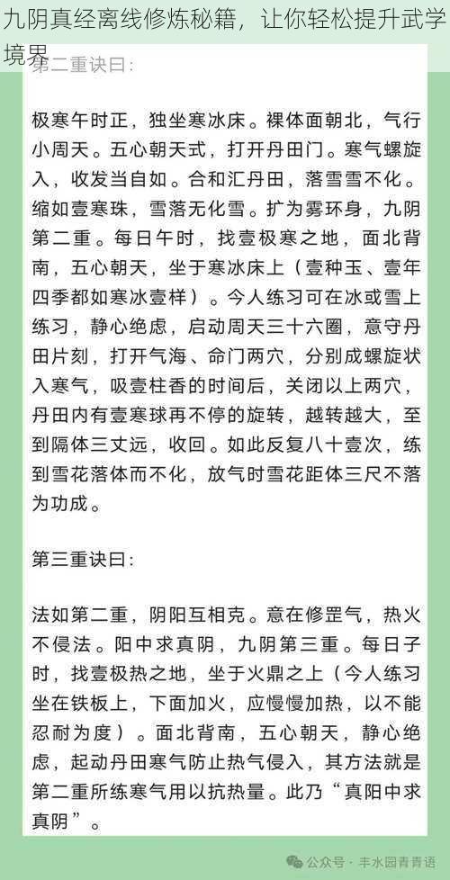 九阴真经离线修炼秘籍，让你轻松提升武学境界