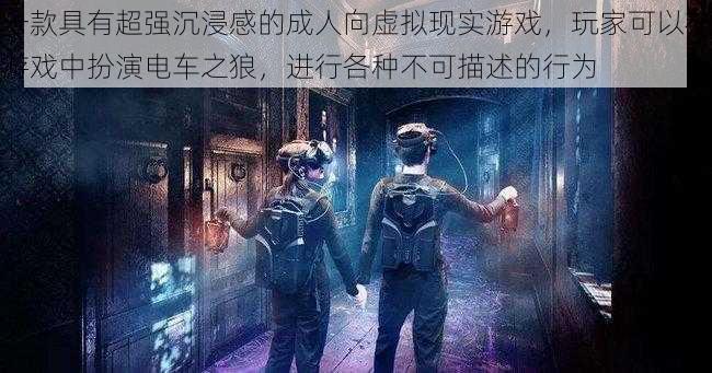 一款具有超强沉浸感的成人向虚拟现实游戏，玩家可以在游戏中扮演电车之狼，进行各种不可描述的行为