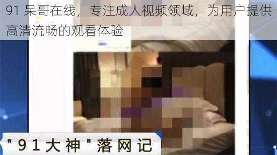 91 呆哥在线，专注成人视频领域，为用户提供高清流畅的观看体验