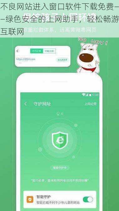 不良网站进入窗口软件下载免费——绿色安全的上网助手，轻松畅游互联网