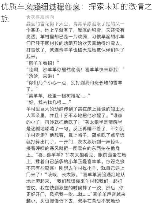 优质车文超细过程作文：探索未知的激情之旅