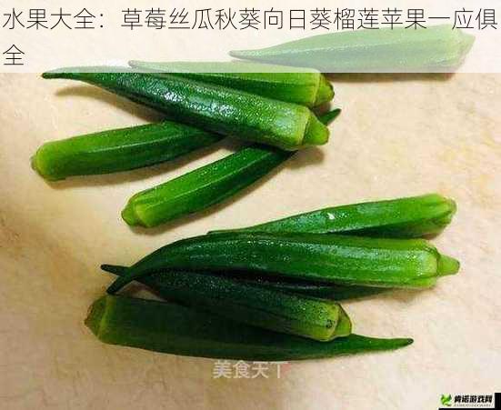 水果大全：草莓丝瓜秋葵向日葵榴莲苹果一应俱全