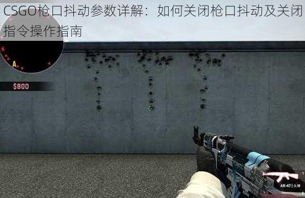 CSGO枪口抖动参数详解：如何关闭枪口抖动及关闭指令操作指南