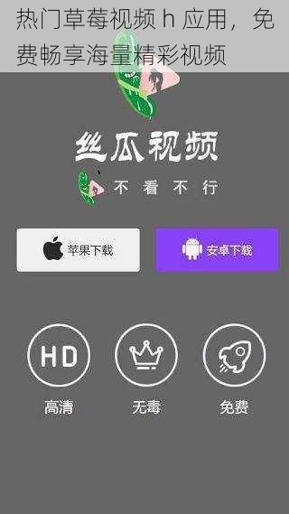 热门草莓视频 h 应用，免费畅享海量精彩视频