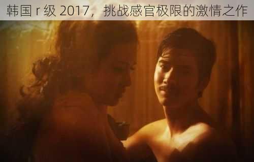 韩国 r 级 2017，挑战感官极限的激情之作