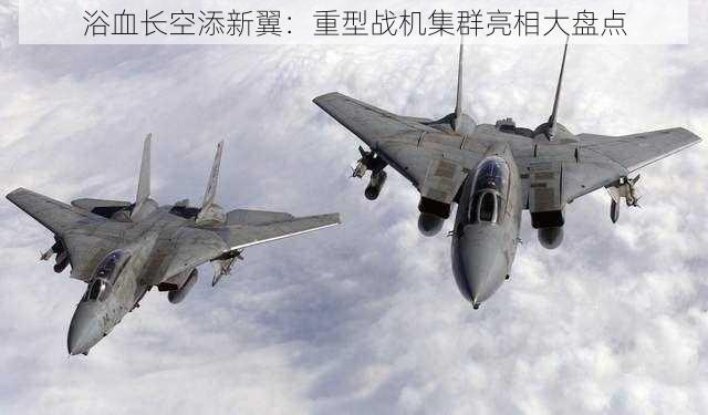 浴血长空添新翼：重型战机集群亮相大盘点