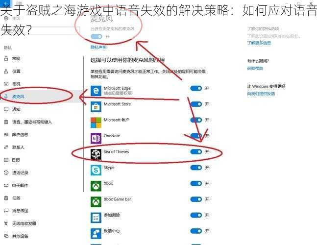 关于盗贼之海游戏中语音失效的解决策略：如何应对语音失效？