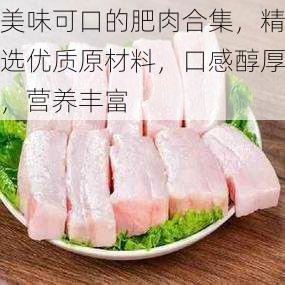 美味可口的肥肉合集，精选优质原材料，口感醇厚，营养丰富