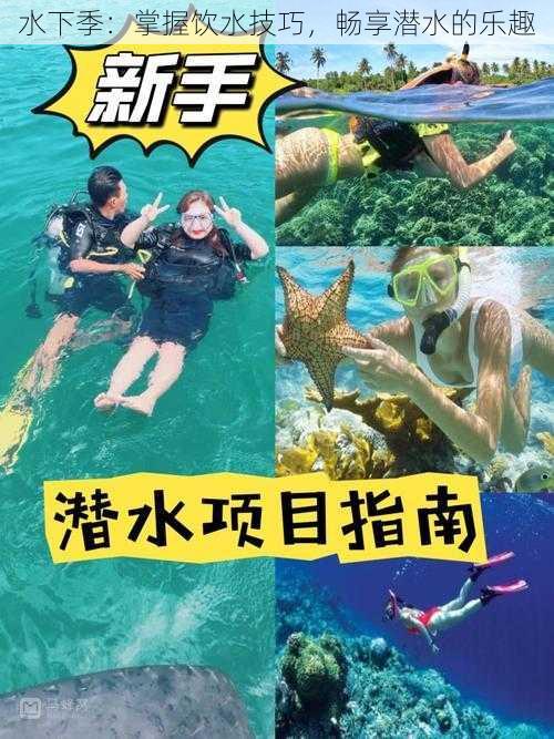 水下季：掌握饮水技巧，畅享潜水的乐趣