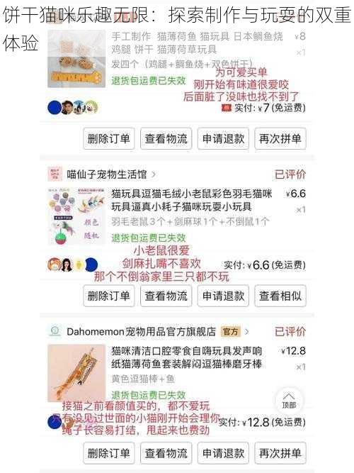 饼干猫咪乐趣无限：探索制作与玩耍的双重体验