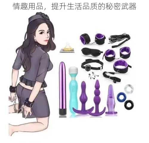 情趣用品，提升生活品质的秘密武器