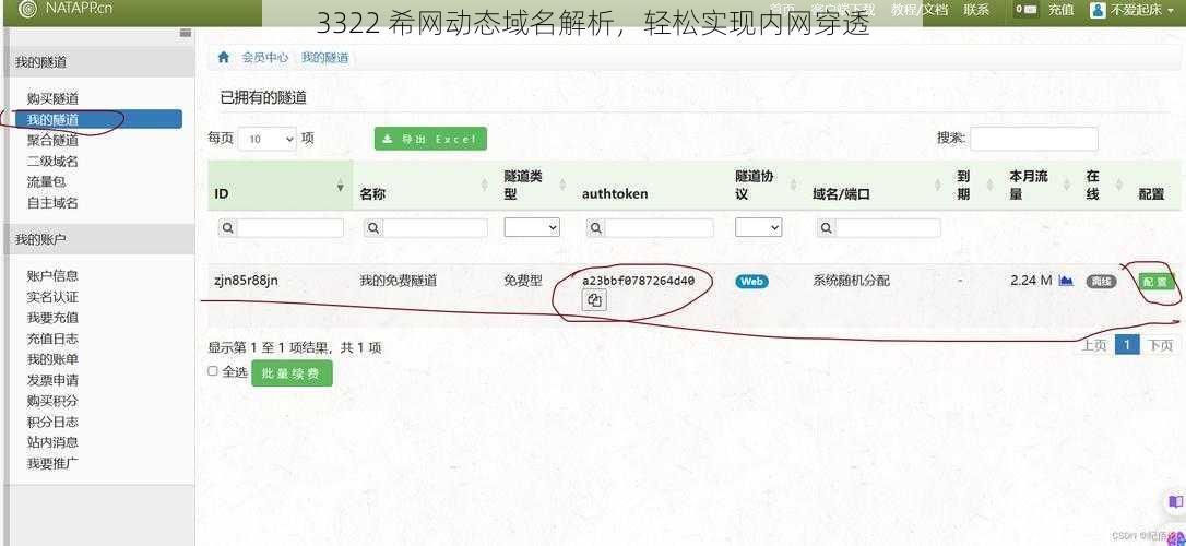 3322 希网动态域名解析，轻松实现内网穿透