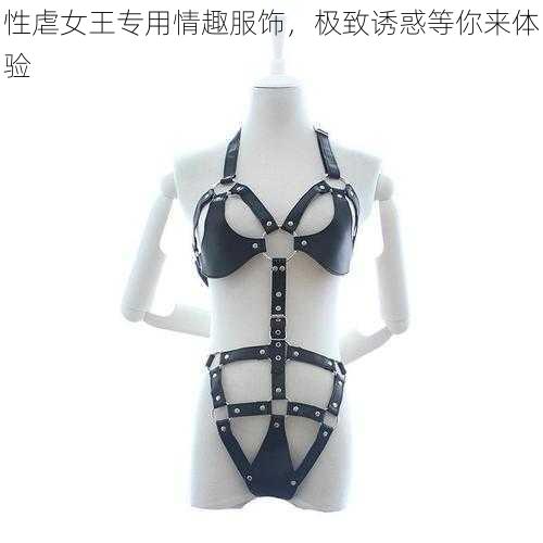 性虐女王专用情趣服饰，极致诱惑等你来体验