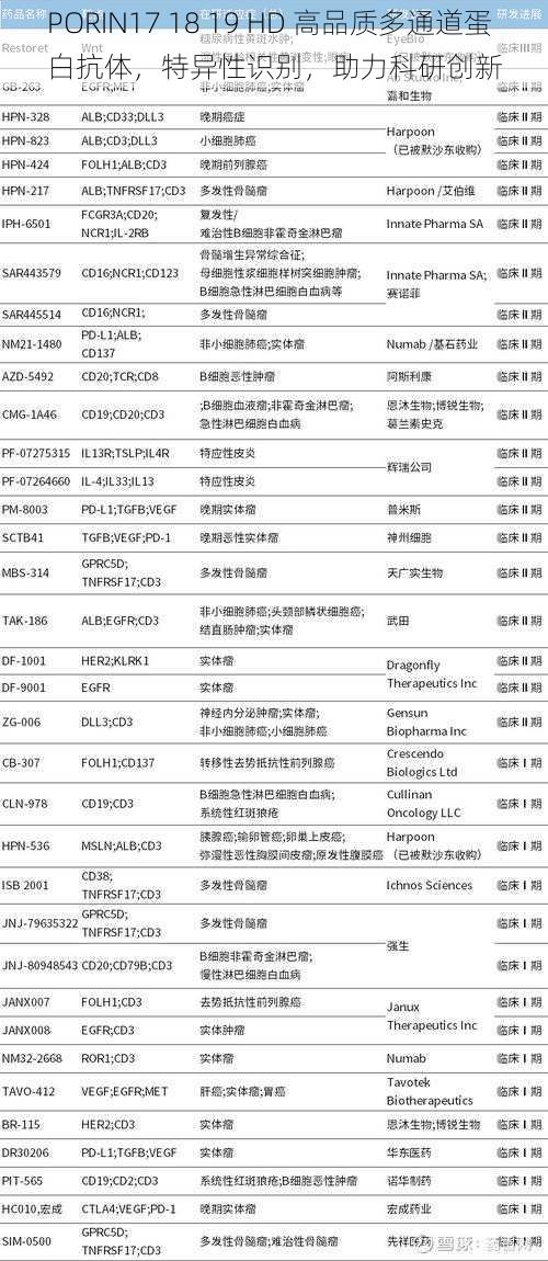 PORIN17 18 19 HD 高品质多通道蛋白抗体，特异性识别，助力科研创新