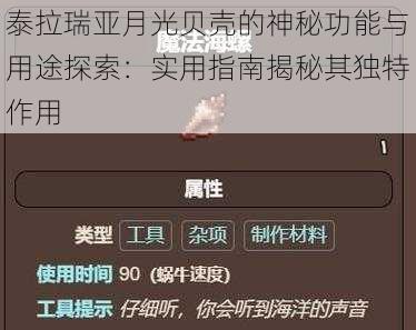 泰拉瑞亚月光贝壳的神秘功能与用途探索：实用指南揭秘其独特作用