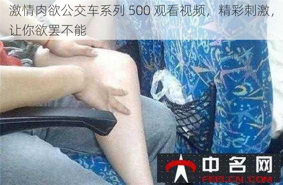 激情肉欲公交车系列 500 观看视频，精彩刺激，让你欲罢不能