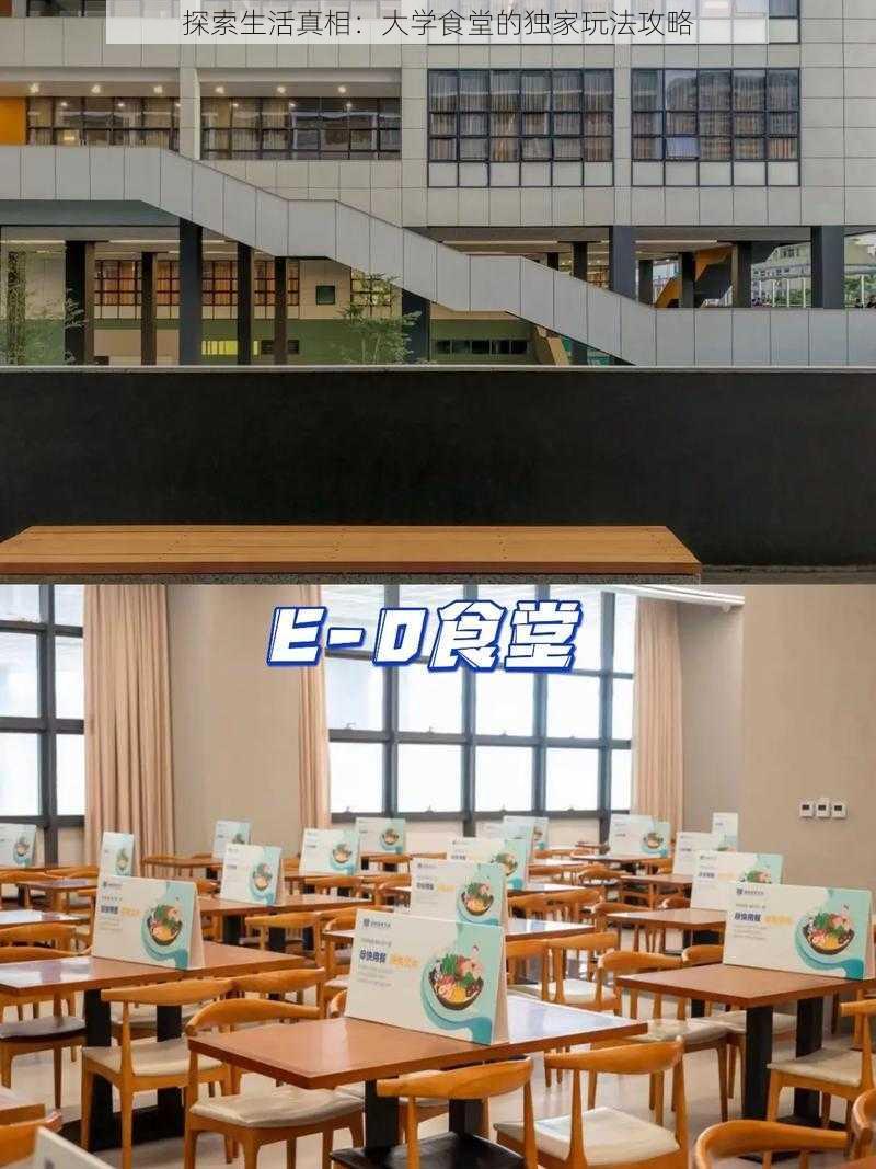 探索生活真相：大学食堂的独家玩法攻略