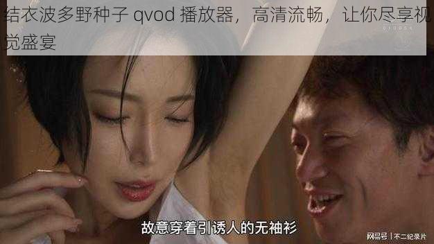 结衣波多野种子 qvod 播放器，高清流畅，让你尽享视觉盛宴