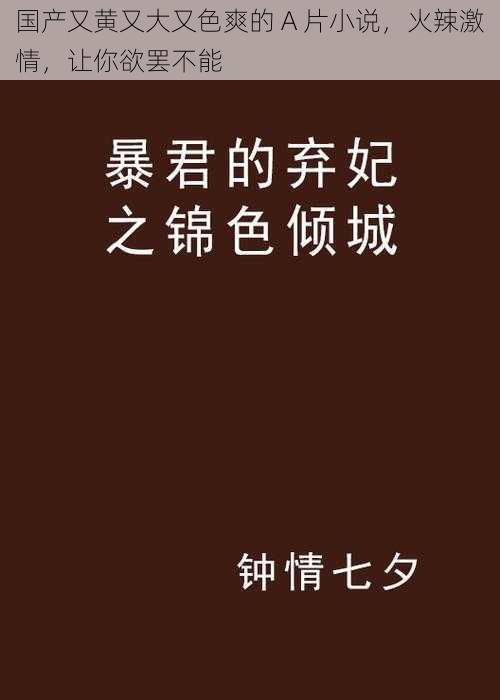 国产又黄又大又色爽的 A 片小说，火辣激情，让你欲罢不能