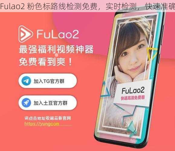 Fulao2 粉色标路线检测免费，实时检测，快速准确