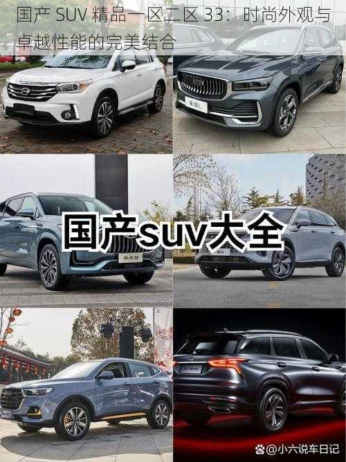 国产 SUV 精品一区二区 33：时尚外观与卓越性能的完美结合