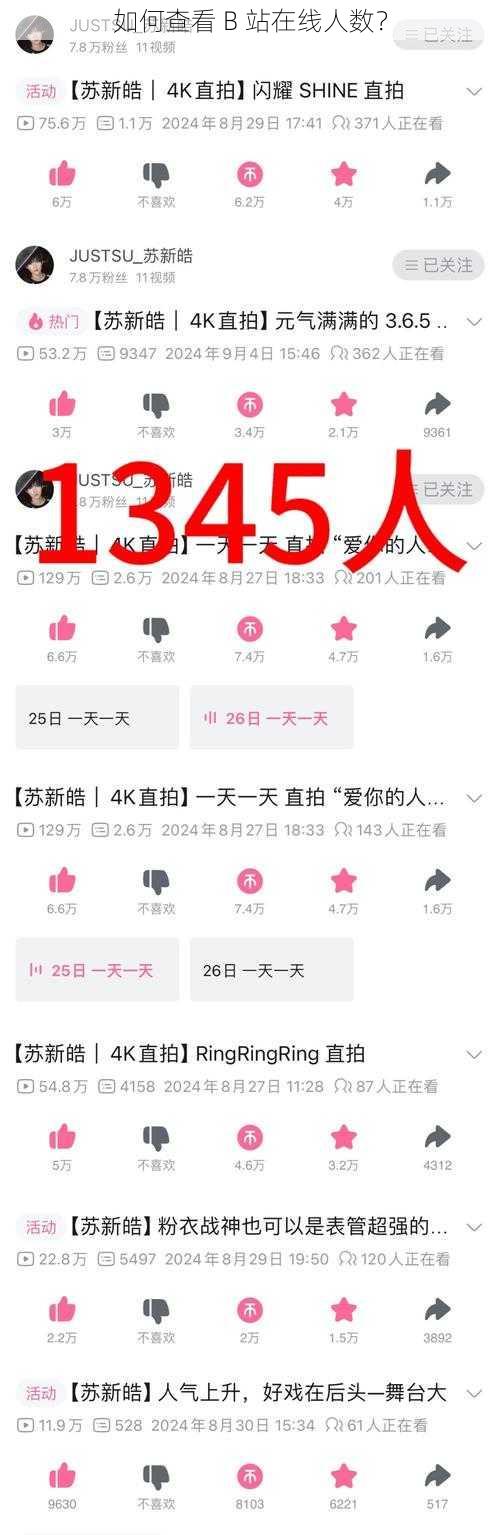 如何查看 B 站在线人数？