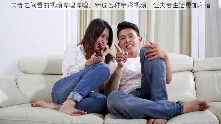 夫妻之间看的视频哔哩哔哩，精选各种精彩视频，让夫妻生活更加和谐