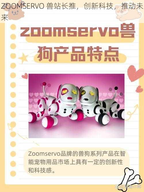 ZOOMSERVO 兽站长推，创新科技，推动未来