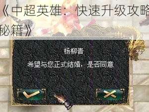 《中超英雄：快速升级攻略秘籍》