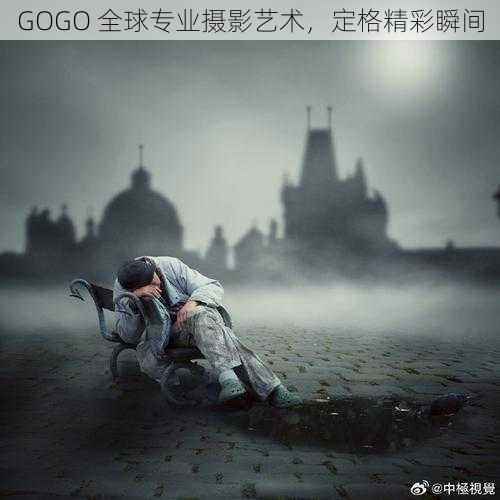 GOGO 全球专业摄影艺术，定格精彩瞬间