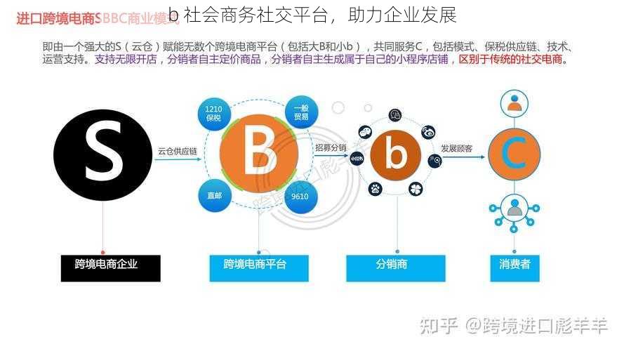 b 社会商务社交平台，助力企业发展