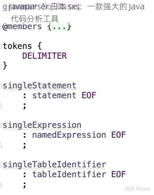 javaparser 日本 sxs：一款强大的 Java 代码分析工具