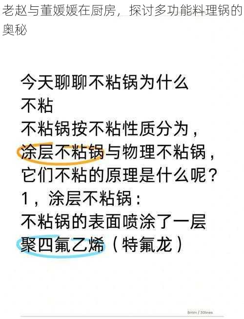 老赵与董媛媛在厨房，探讨多功能料理锅的奥秘