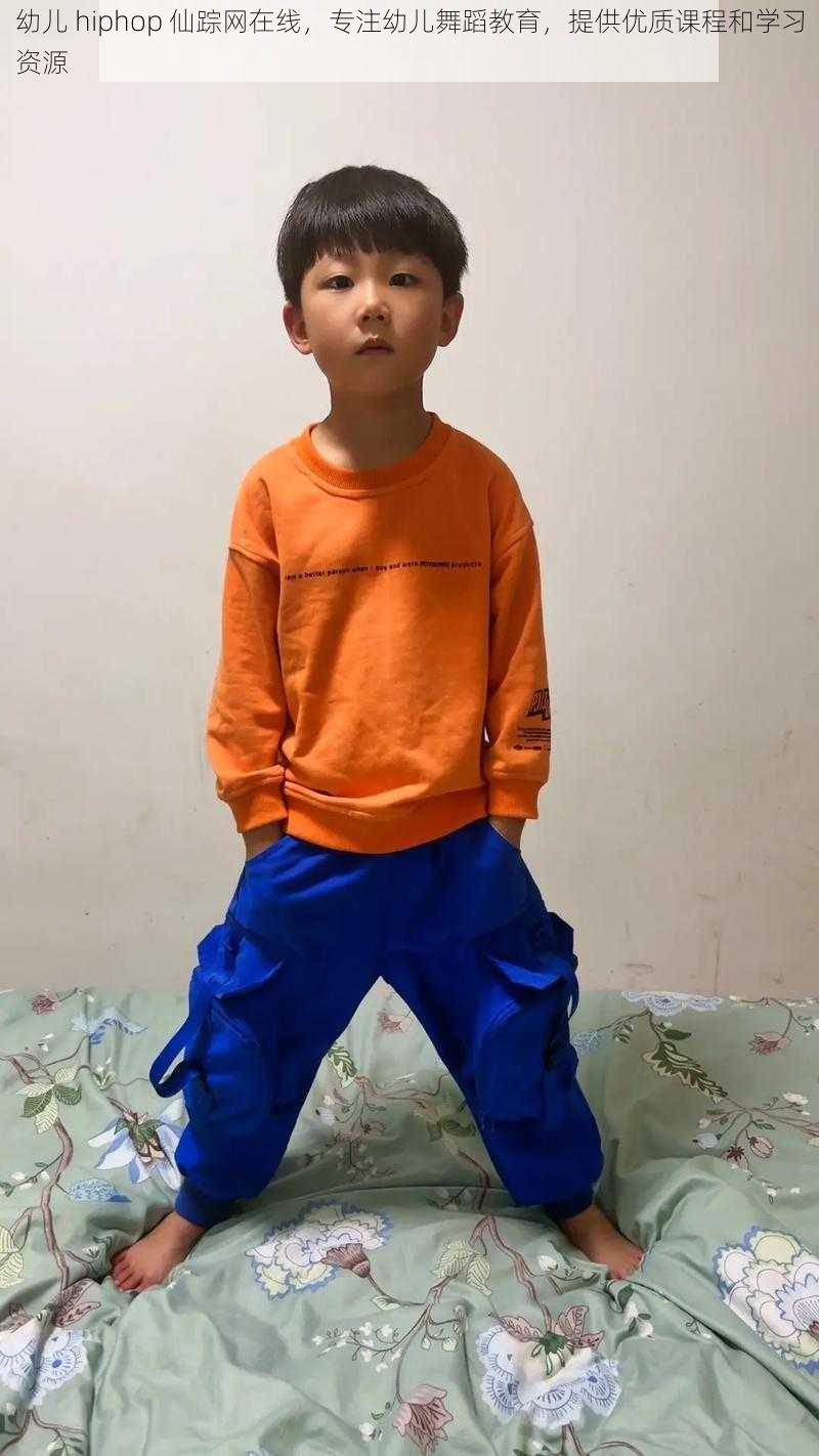 幼儿 hiphop 仙踪网在线，专注幼儿舞蹈教育，提供优质课程和学习资源