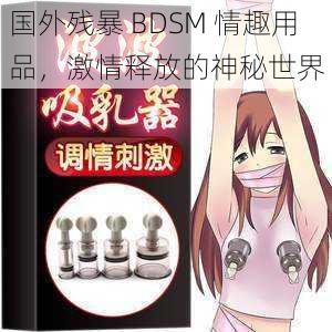 国外残暴 BDSM 情趣用品，激情释放的神秘世界