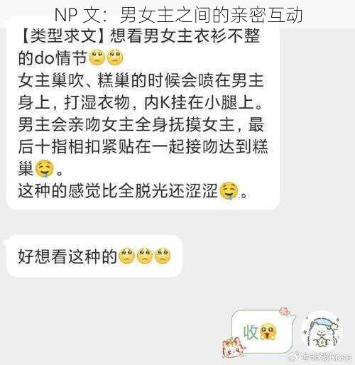 NP 文：男女主之间的亲密互动