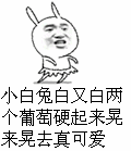 两个小白兔抖来抖去动图，带来无限欢乐