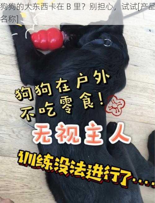 狗狗的大东西卡在 B 里？别担心，试试[产品名称]