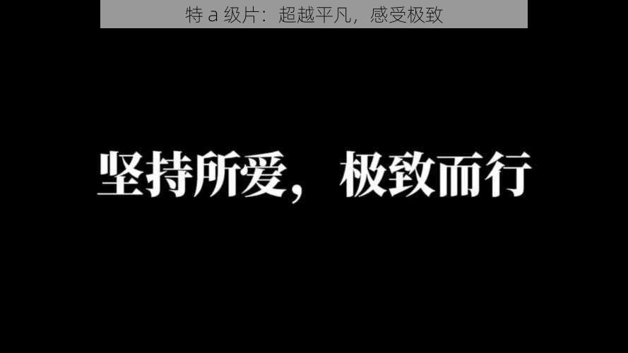 特 a 级片：超越平凡，感受极致