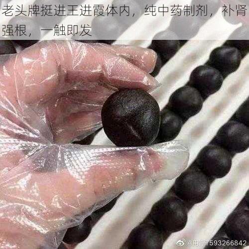 老头牌挺进王进霞体内，纯中药制剂，补肾强根，一触即发