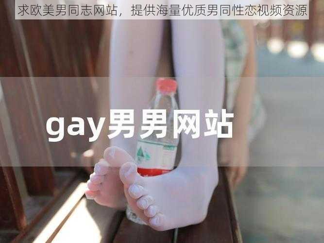 求欧美男同志网站，提供海量优质男同性恋视频资源